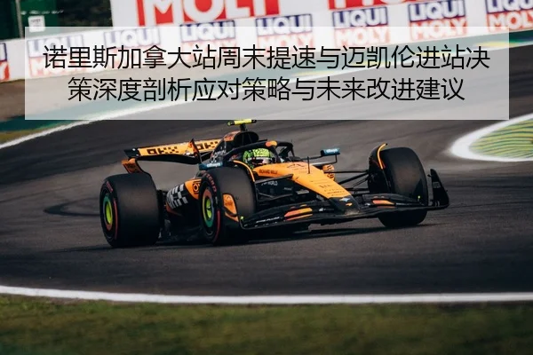 nuo-li-si-jia-na-da-zhan-zhou-mo-ti-su-yu-mai-kai-lun-jin-zhan-jue-ce-shen-du-pou-xi-ying-dui-ce-lve-yu-wei-lai-gai-jin-2-508.jpg