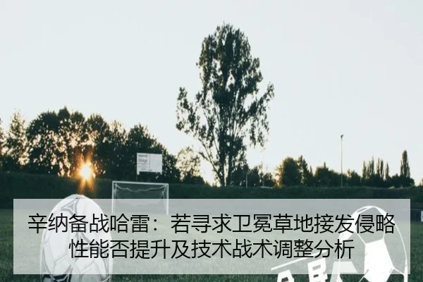 xin-na-bei-zhan-ha-lei-ruo-xun-qiu-wei-mian-cao-di-jie-fa-qin-lve-xing-neng-fou-ti-sheng-ji-ji-shu-zhan-shu-tiao-zheng-2-140.jpg